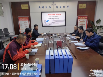 铜陵万华禾香现评12.3